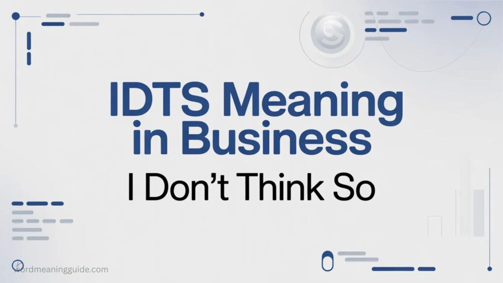 IDTS Meaning in Business
