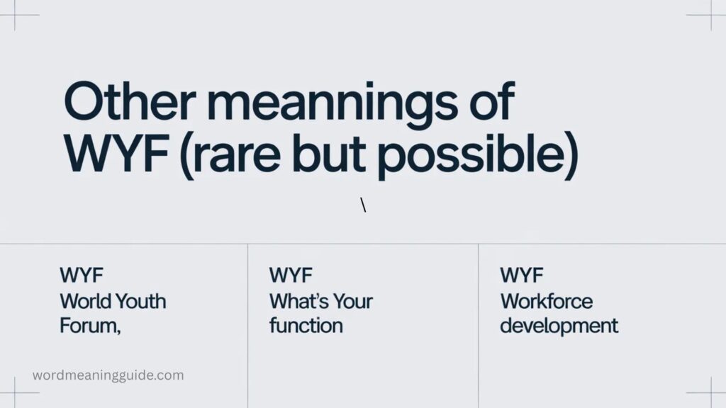 Other Meanings of WYF (Rare but Possible)
