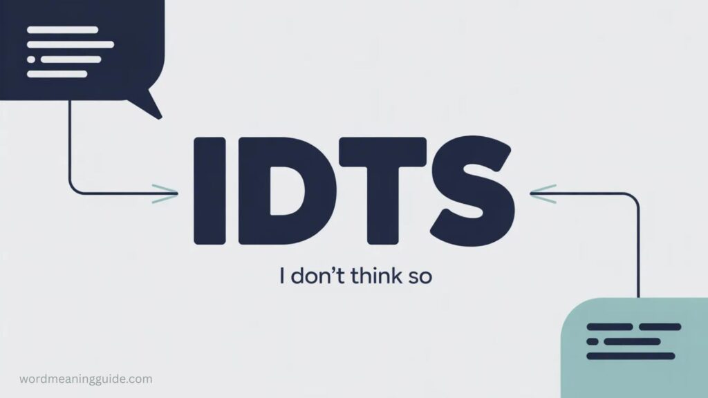 What Does IDTS Mean in Text