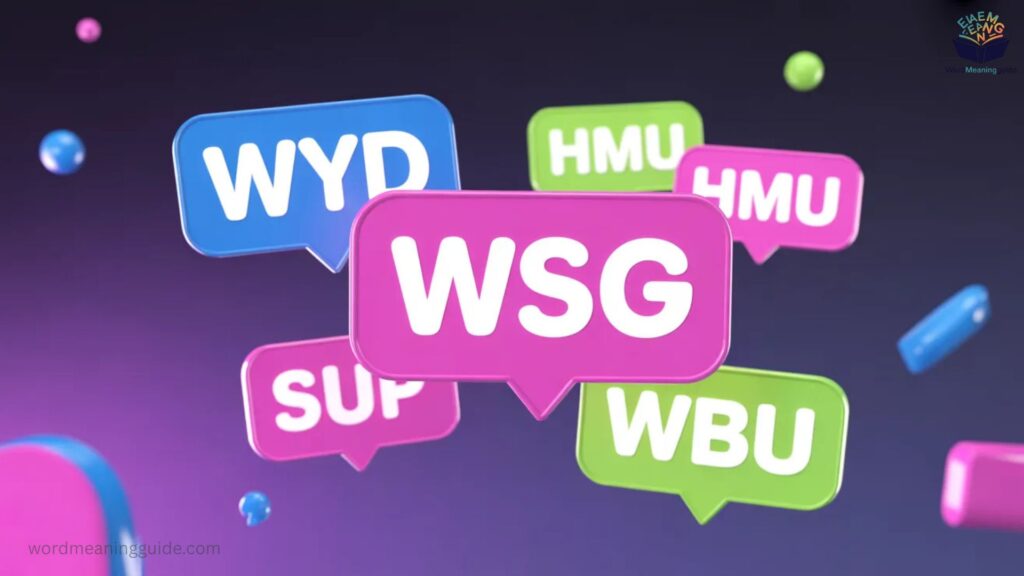 Similar Slang Words Like WSG