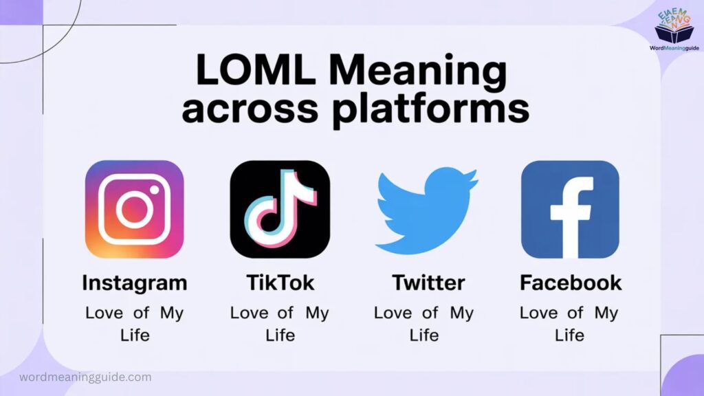 LOML Meaning Across Platforms