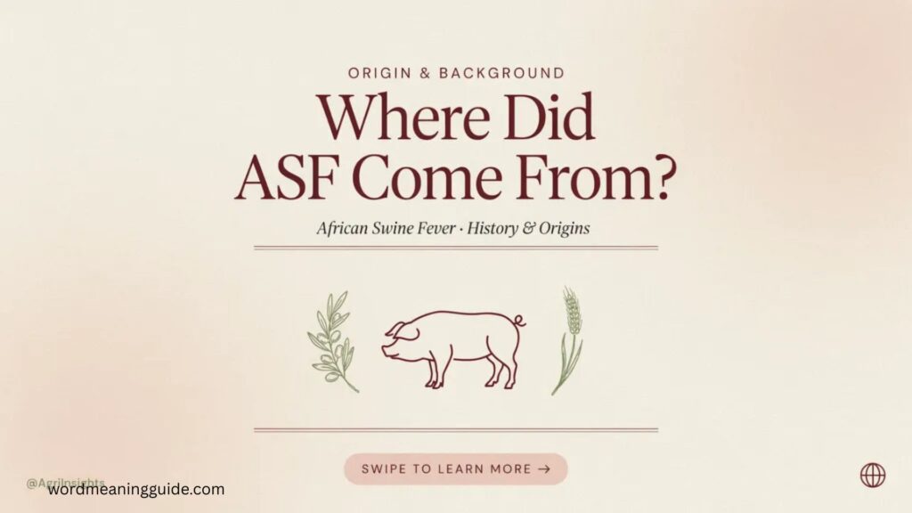 Origin & Background Where Did ASF Come From