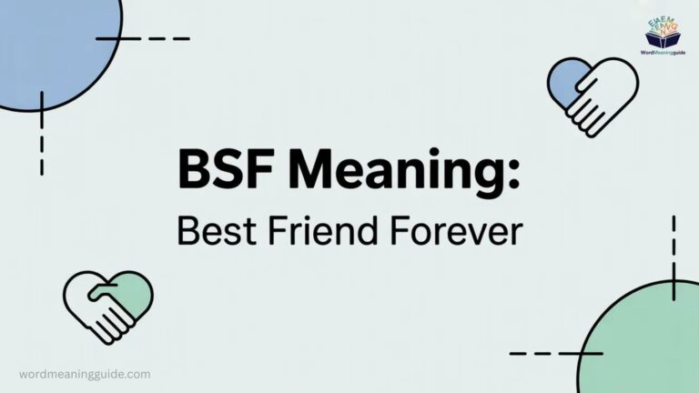 BSF Meaning Simple Definition, Full Form, Examples, and Usage Guide In 2026