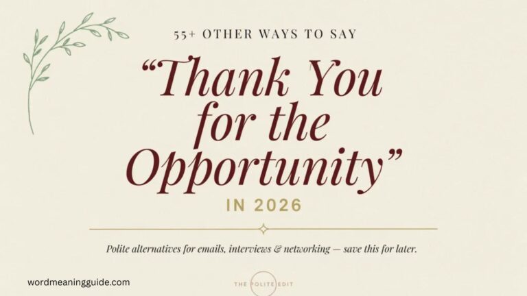 55+ Other Ways to Say “Thank You for the Opportunity” In 2026