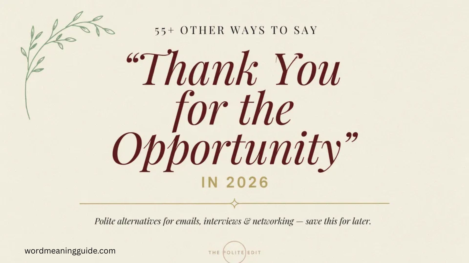 55+ Other Ways to Say “Thank You for the Opportunity” In 2026